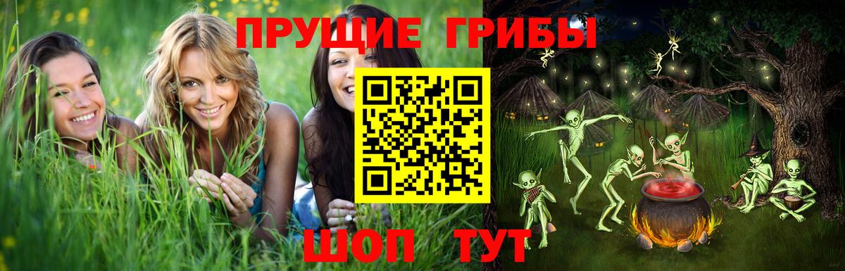 Галлюциногенные грибы GOLDEN TEACHER  Вход с VPN  Павлово 