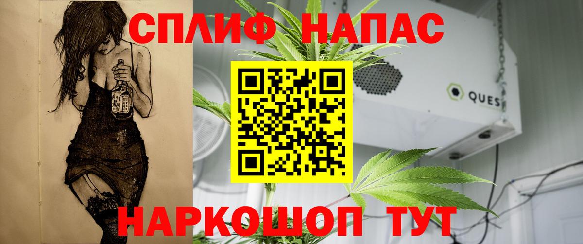 Бошки марихуана Amnesia Павлово